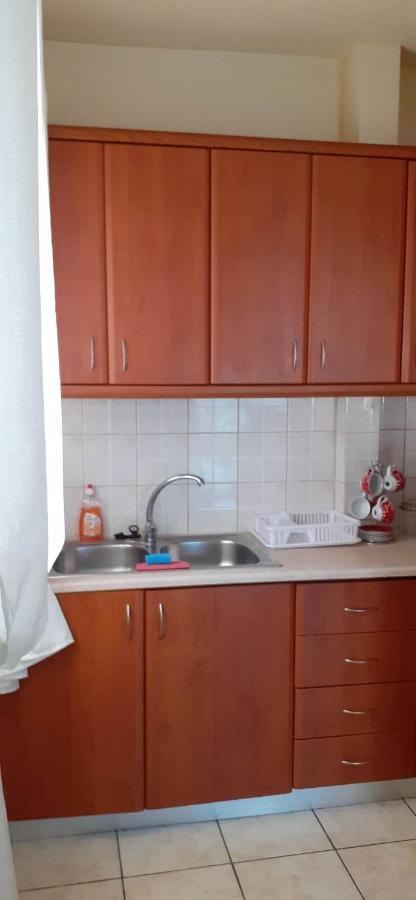 Irene Apartamento Ioánina Exterior foto